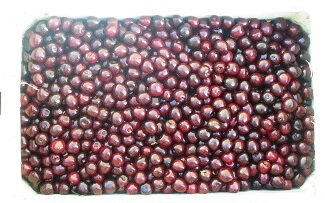 Cerise pour confiture