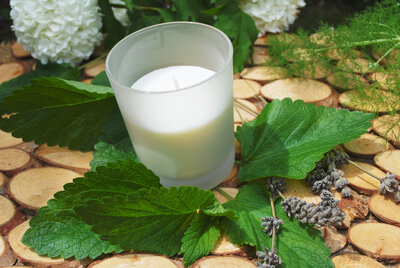 Bougie végétale °mieux que la citronnelle°
