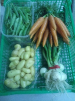 Panier 'jardinière'