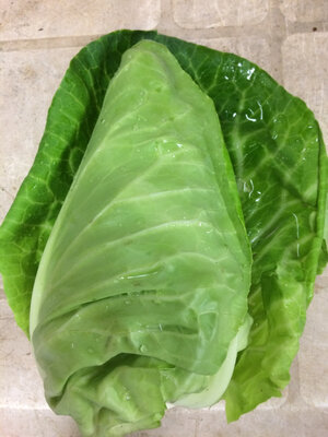 Chou variété coeur de boeuf sonsma