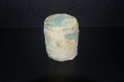 Charolais chèvre aop