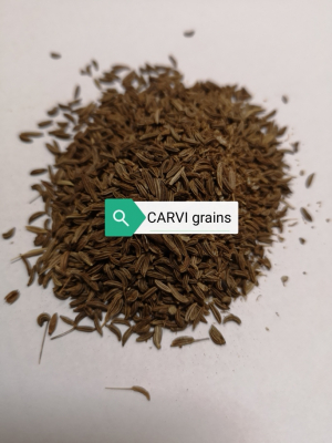 Carvi grains