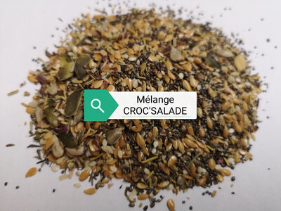 Mélange croc'salade