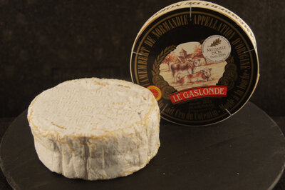 Camembert