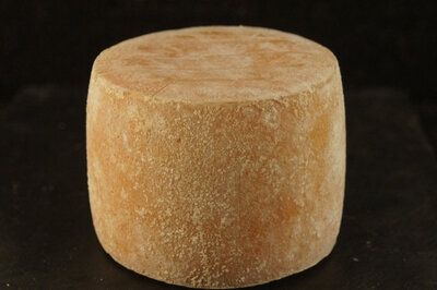 Tommette de brebis du larzac