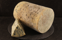 Fourme de montbrison aop