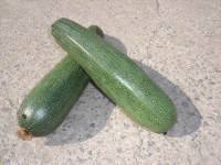 Courgette verte