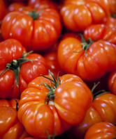 Tomates marbonne