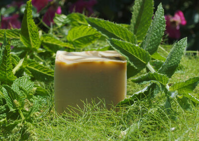 Savon surgras menthe spiruline