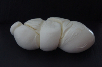 Mozzarella de bufflonne