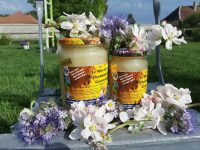 Miel de fleurs de printemps 2021