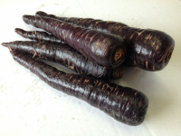 Carotte violette