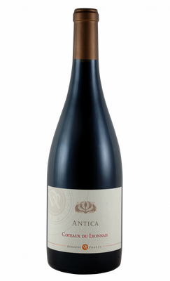 Antica gamay