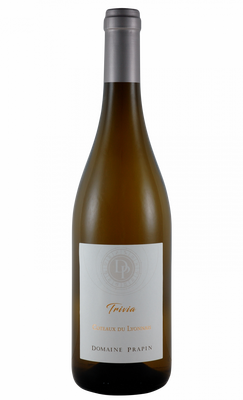 Trivia chardonnay