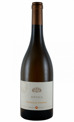 Antica chardonnay