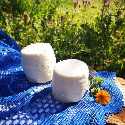 Petit brebis