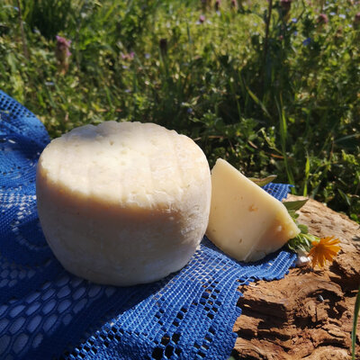 Tomme de brebis