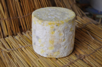 Petit camembert de brebis