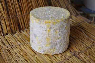 Petit camembert de brebis