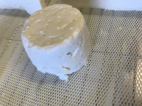 Rigotte de chèvre frais au lait cru