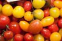 Tomate cerise