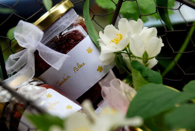 Jardin bleu
