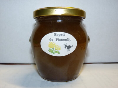 Esprit de pissenlit