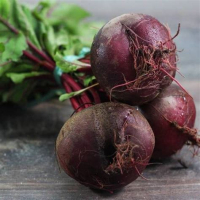 Betterave rouge botte