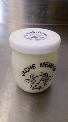 Yaourt au lait écrémé - fraises des bois