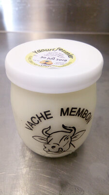 Yaourt au lait entier - citron