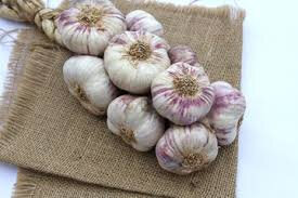 Ail violet du gers  tresse 500gr