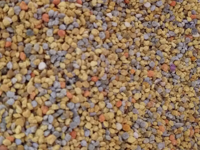Pollen frais