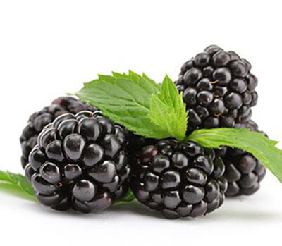 Confiture de mûres