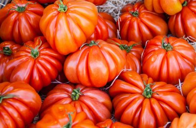 2 kg tomates. assortiment d'anciennes variètès