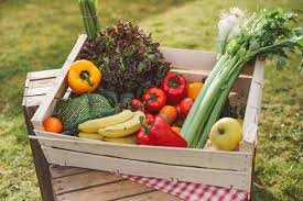 Panier légumes de saison dispo de la semaine