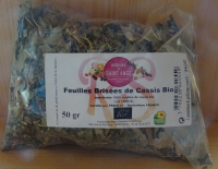 Feuille brisees de cassis bio