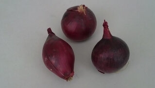 Oignons rouges