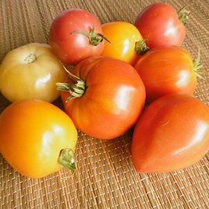 Tomate