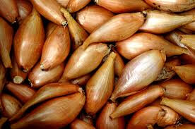 Echalote issue du potager bio de servigny