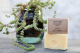 Pack promo baume chouchou + savon n°2 choucho - image 3