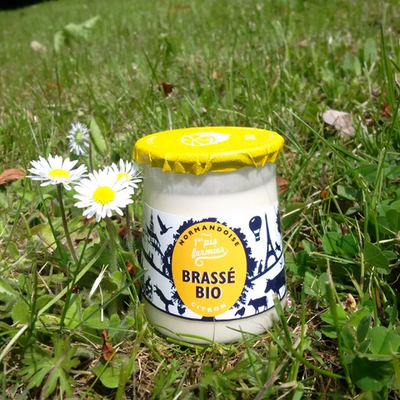 Yaourt bio citron