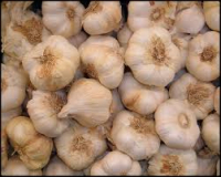 Ail sec nouvelle récolte demi sec