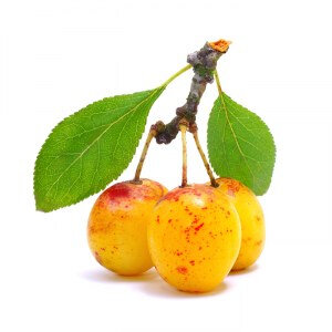 Confiture de mirabelle