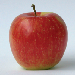 Pommes delcorf