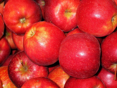 Pommes royal gala