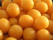 Mirabelle à confiture