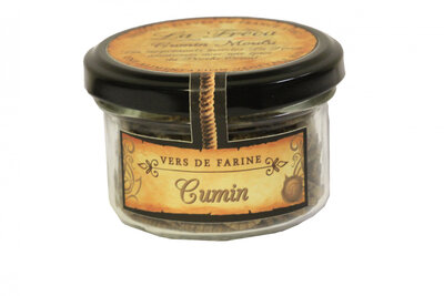Vers de farine - saveur cumin