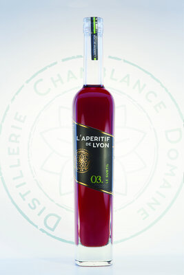 L'apéritif de lyon - le subtil