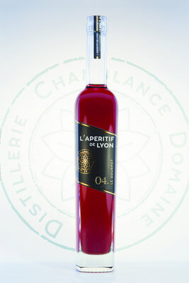 L'apéritif de lyon - le gourmet