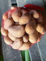 Anabelle en grenaille